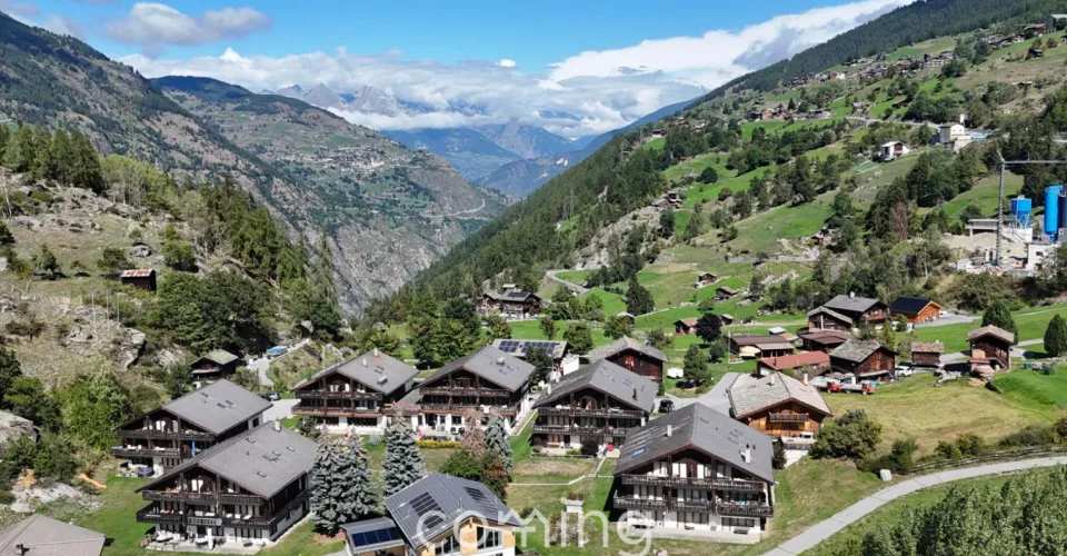 Vivere con vista sulla montagna - delizioso appartamento di 3,5 locali a Grächen – foto 25 di 25