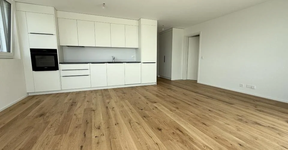 Magnifique 3.5pces en attique – photo 2 sur 7