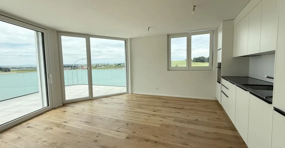 Magnifique 3.5pces en attique – photo 3 sur 7