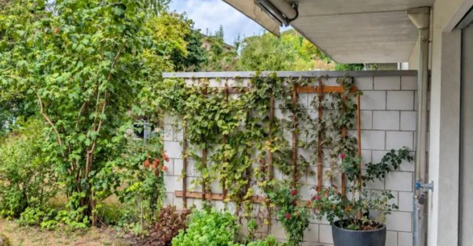 00421 - Appartement avec jardin privatif - Lore-Sandoz 12 - Bienne(BE) – Foto 2 von 10