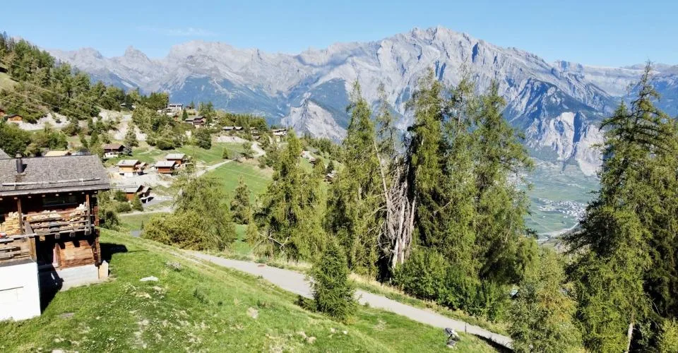 Parcelle prête à accueillir votre futur chalet à La Tzoumaz – foto 6 di 7