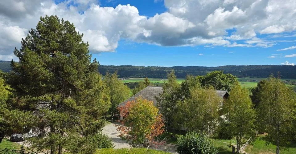Casa indipendente composta da due appartamenti con grande giardino e due garage – foto 5 di 13