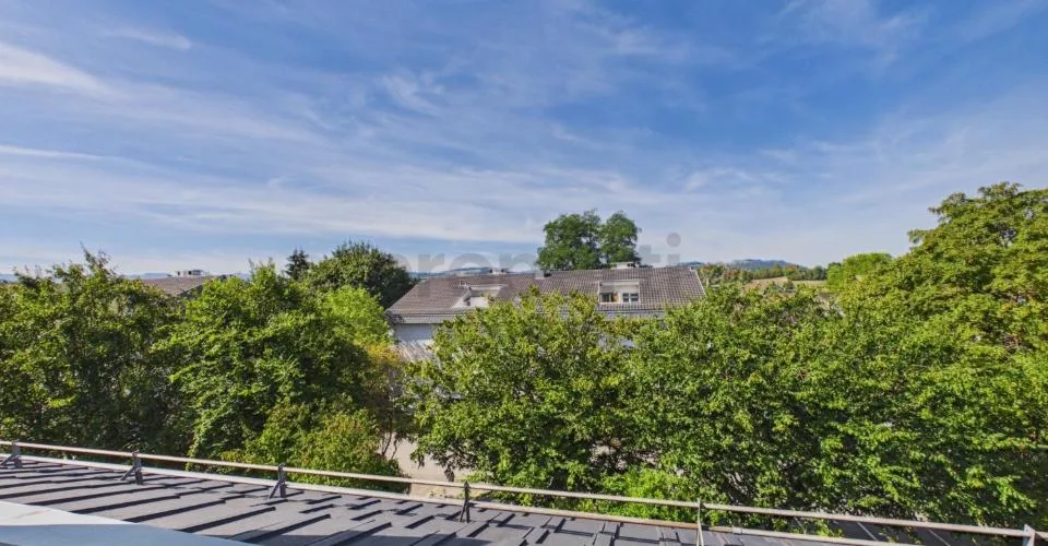 Maisonette-Traum auf zwei Ebenen: Renoviert mit Fussbodenheizung, Balkone und Einstellhallenplatz – photo 23 sur 24