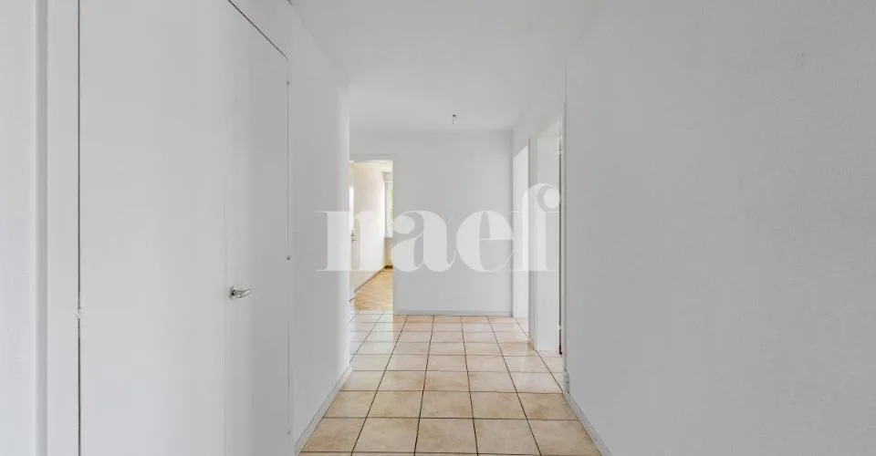 Appartamento di 5 locali al 4° piano in affitto a Friburgo – foto 5 di 12