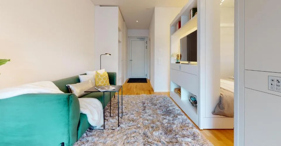 Appartamento ammobiliato per single nella zona Henz Areal – foto 5 di 13