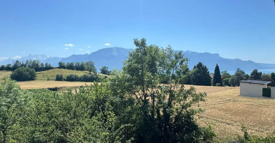 Schönes Chalet mit 4-5 Zimmern und Blick auf den See und die Dents-du-Midi – Foto 6 von 25