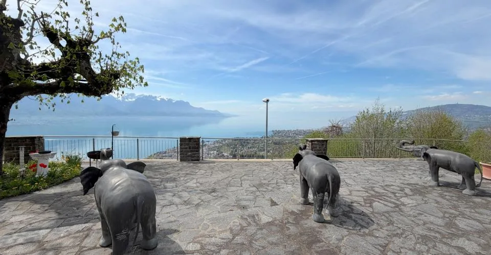 EN EXCLISIVITÉ ! Villa de maître avec vue panoramique sur Montreux – photo 2 sur 13