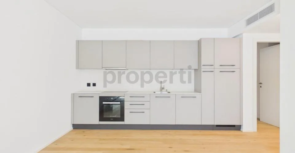 Appartement moderne de 2,5 pièces avec cave, Paradiso – photo 4 sur 22