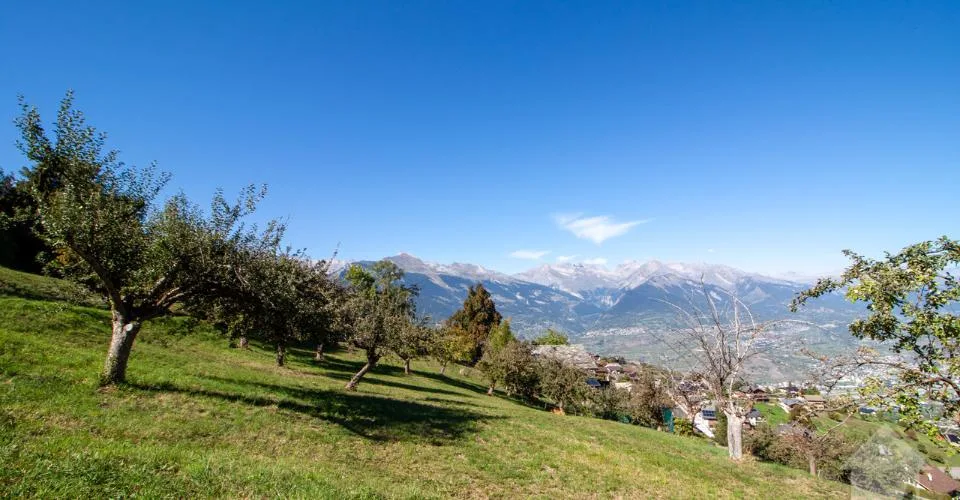 Superbe parcelle de 2'978 m² à bâtir à 5 minutes des pistes – photo 2 sur 5