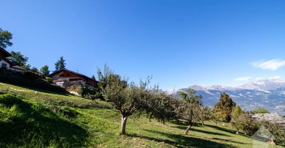 Superbe parcelle de 2'978 m² à bâtir à 5 minutes des pistes – photo 3 sur 5
