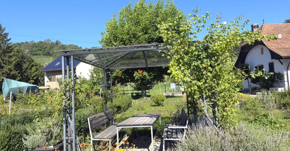 Joli appartement de 3.5 avec vue sur le vignoble – Foto 11 von 11