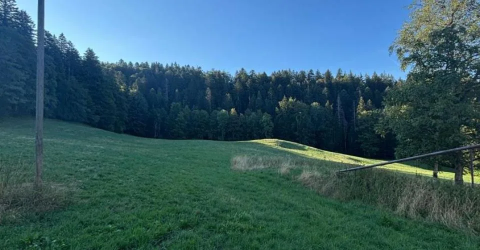 Magnifique Ferme Avec Box A Chevaux Et Plus De 2'900 Mètre Carrés De Terrain – photo 6 sur 6