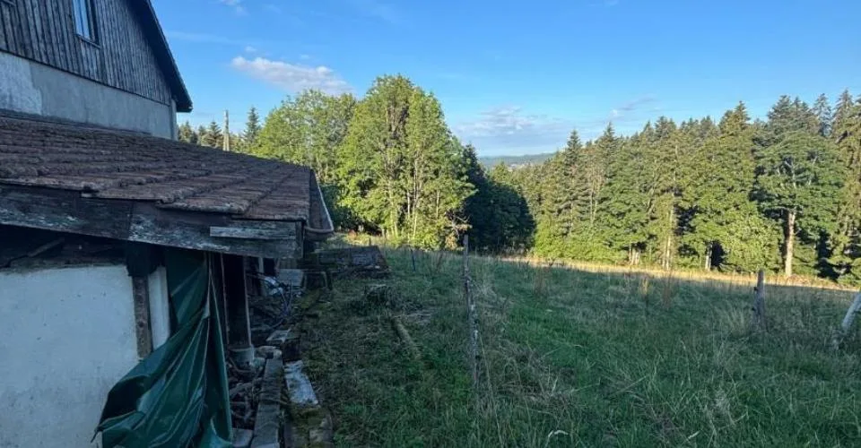 Magnifique Ferme Avec Box A Chevaux Et Plus De 2'900 Mètre Carrés De Terrain – photo 5 sur 6