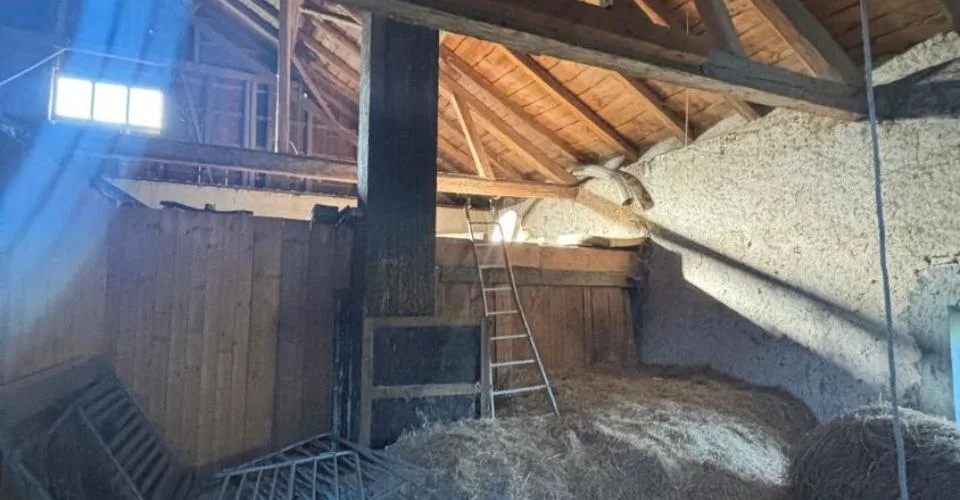 Magnifique Ferme Avec Box A Chevaux Et Plus De 2'900 Mètre Carrés De Terrain – photo 4 sur 6