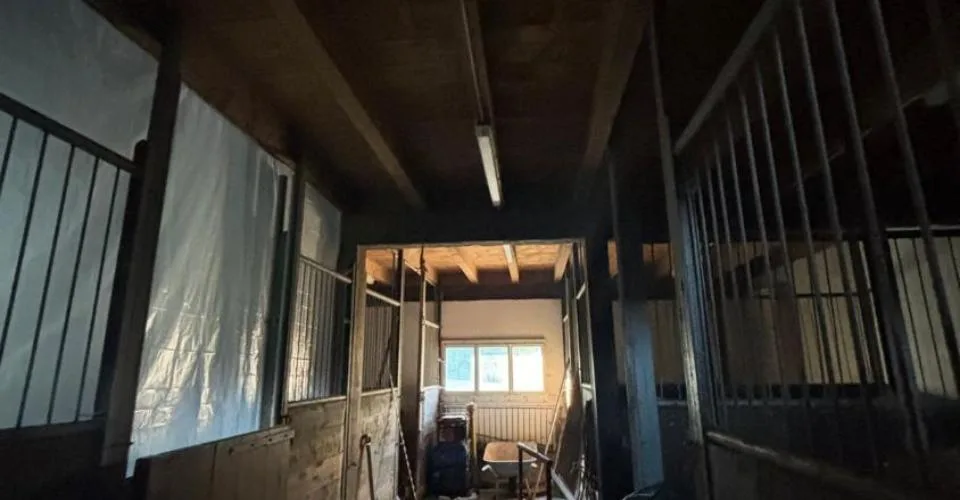 Magnifique Ferme Avec Box A Chevaux Et Plus De 2'900 Mètre Carrés De Terrain – photo 2 sur 6