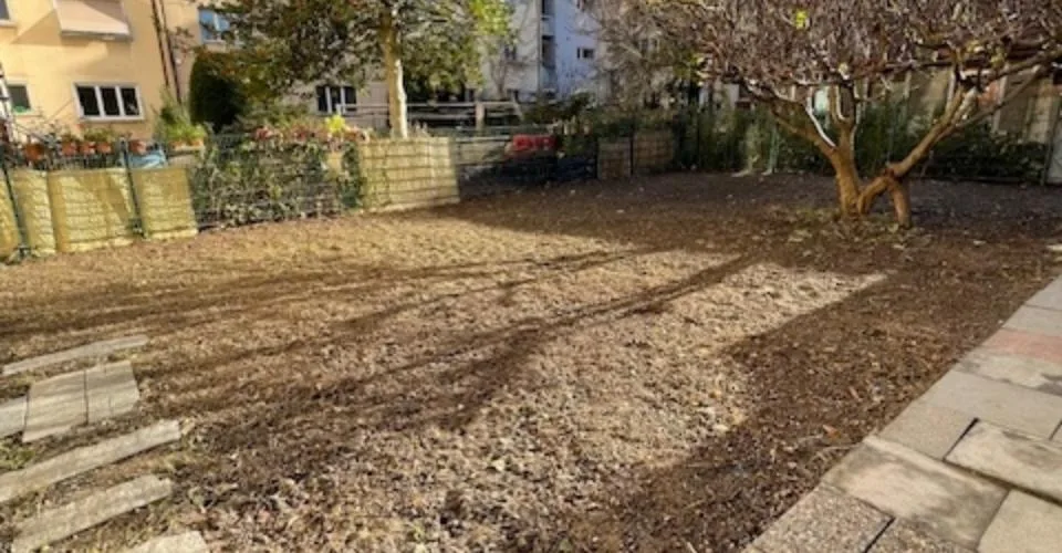 Bel appartement de 3 pièces rénové avec jardin commun - Centre de Bienne – Foto 9 von 10