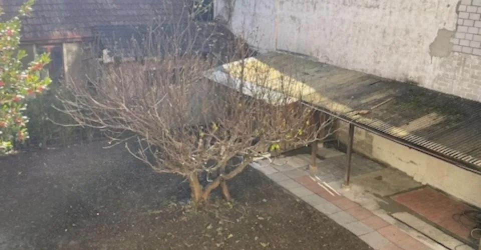Bel appartement de 3 pièces rénové avec jardin commun - Centre de Bienne – Foto 10 von 10