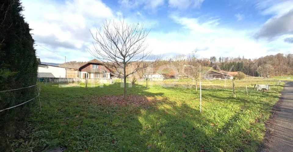 Aus Fläche wird Zuhause – photo 3 sur 5