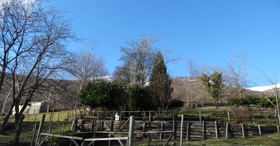PRATO PER CAVALLI – foto 2 di 6