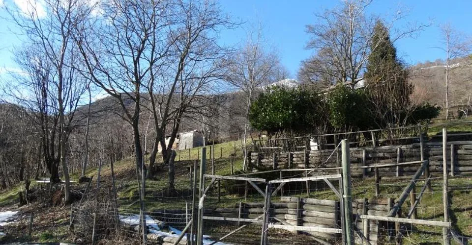 PRATO PER CAVALLI – foto 5 di 6