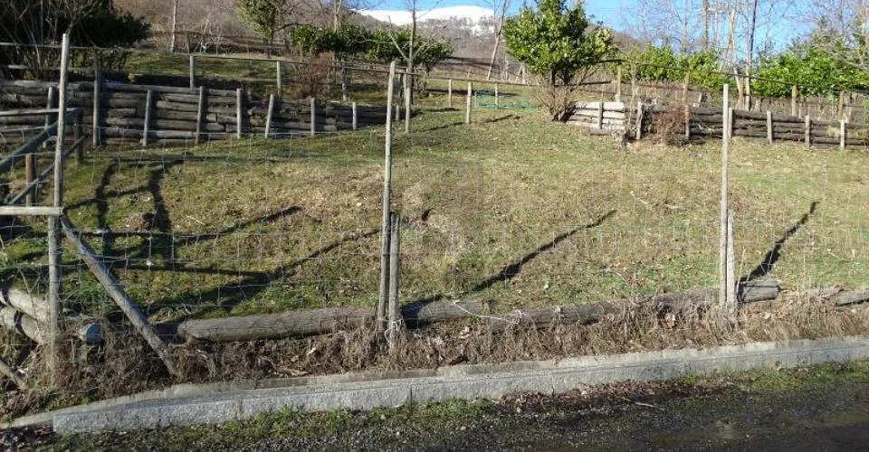 PRATO PER CAVALLI – foto 4 di 6