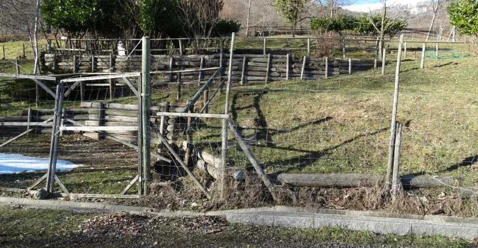PRATO PER CAVALLI – foto 3 di 6