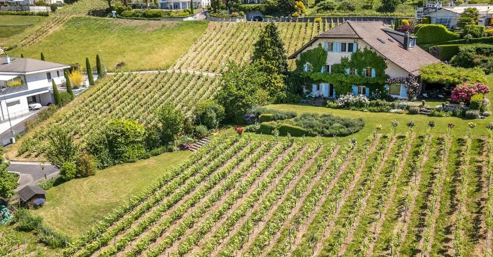 Demeure d'exception au coeur de Lavaux – foto 2 di 13