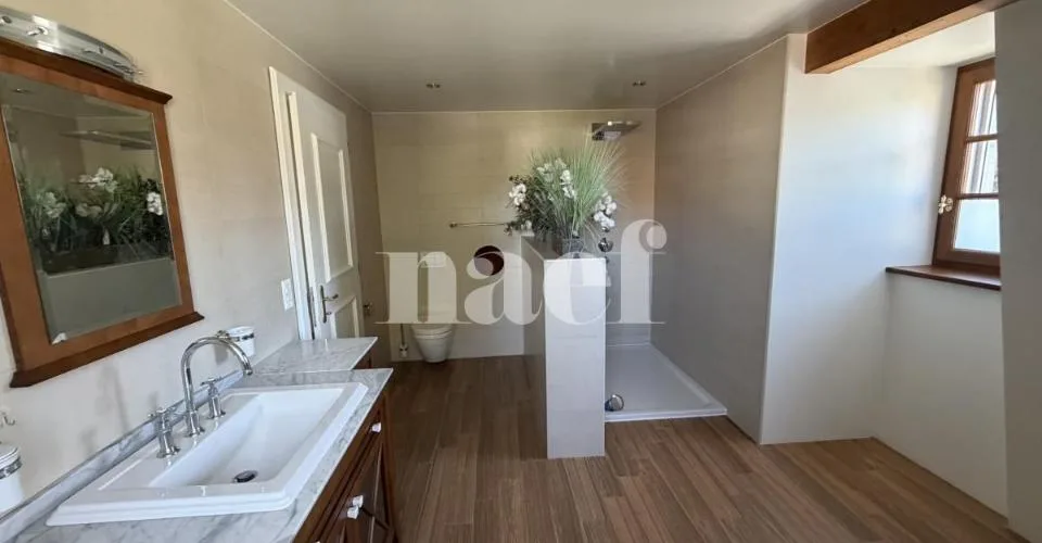 Magnifique propriété individuelle avec dépendances et un beau jardin arboré avec jacuzzi – photo 8 of 13
