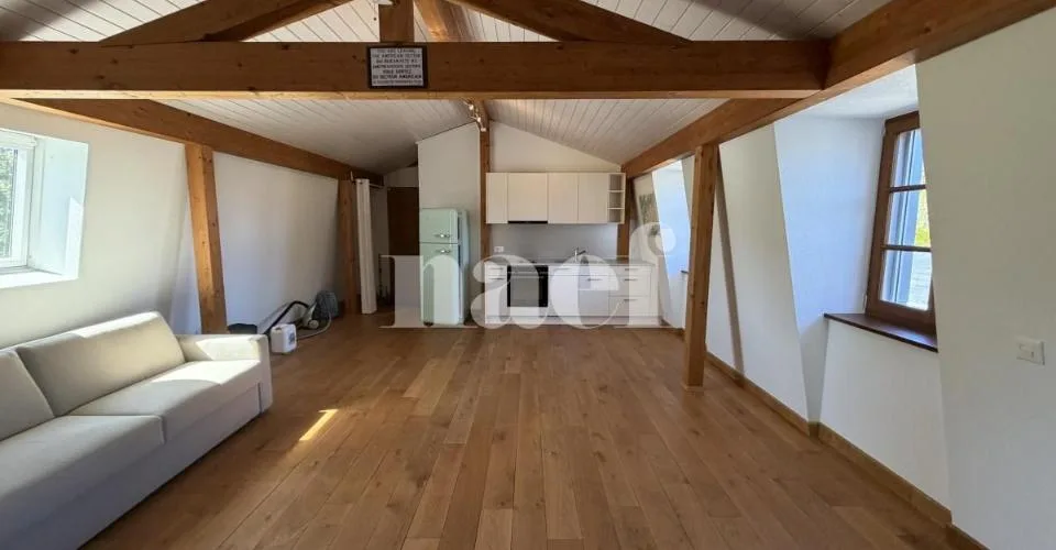 Magnifique propriété individuelle avec dépendances et un beau jardin arboré avec jacuzzi – photo 11 of 13