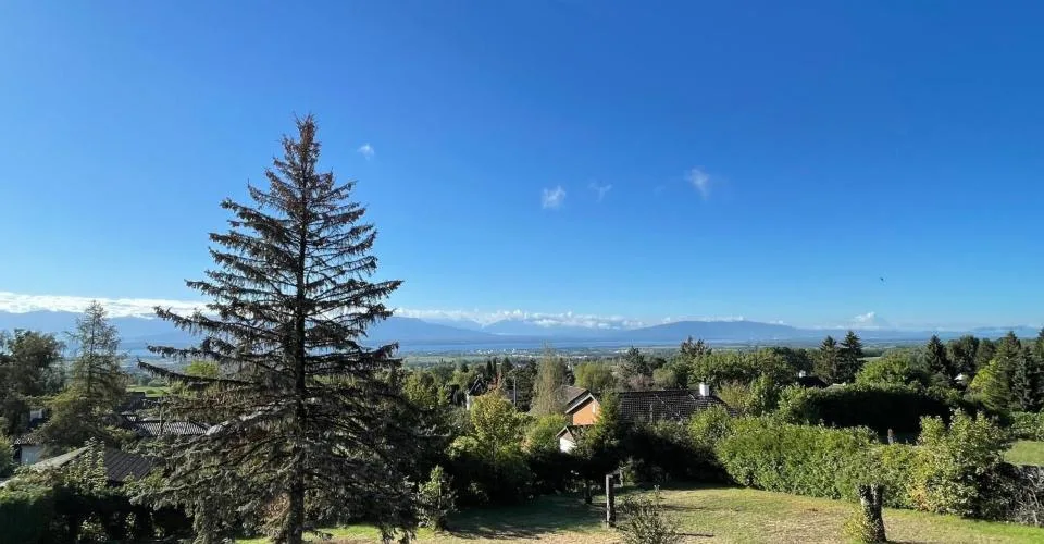 VENTE - Terrain avec vue sur le Lac et les Alpes – Foto 4 von 5