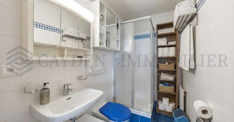 En exclusivité ! Charmant 5 pièces au coeur d'Onex – photo 3 sur 14