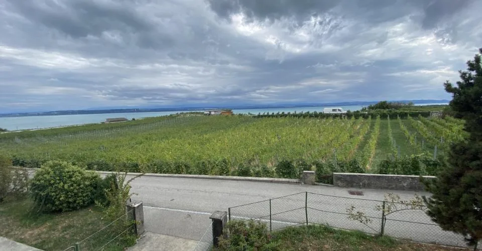 Appartement à Auvernier avec vue sur le lac et les Alpes – foto 9 di 9