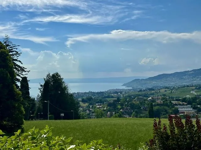 Belle et très spacieuse villa d'architecte, 12 pces, 2800 m2 terrain intimiste, – Foto 13 von 13