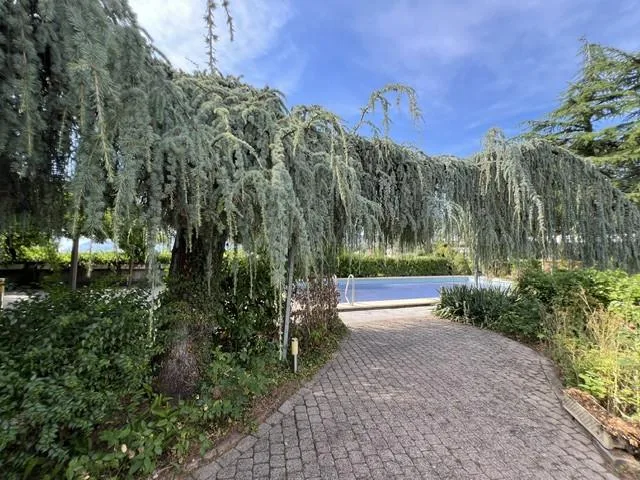 Belle et très spacieuse villa d'architecte, 12 pces, 2800 m2 terrain intimiste, – Foto 12 von 13