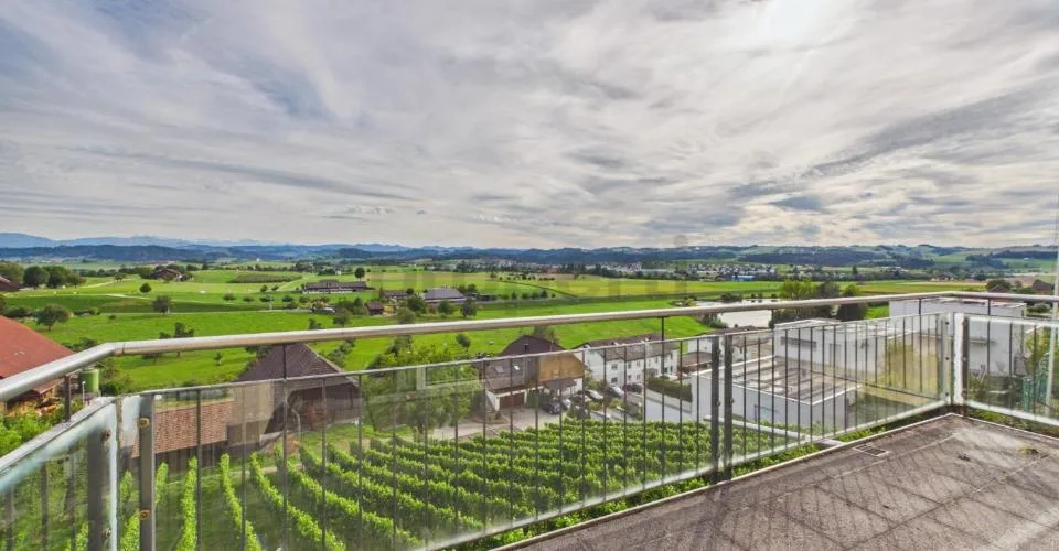 Wohnen mit Weitsicht - grosszügiges Zuhause mit drei Wohneinheiten und traumhaftem Bergpanorama – Foto 25 von 26