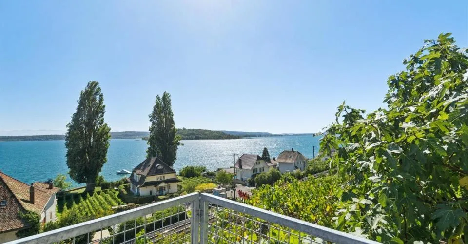LIGNES PURS & HISTOIRE VIGNERONNE AU BORD DU LAC DE BIENNE – foto 12 di 13