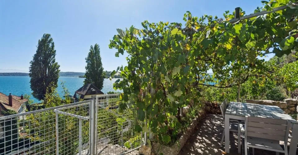 LIGNES PURS & HISTOIRE VIGNERONNE AU BORD DU LAC DE BIENNE – foto 13 di 13