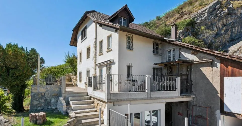 LIGNES PURS & HISTOIRE VIGNERONNE AU BORD DU LAC DE BIENNE – foto 9 di 13