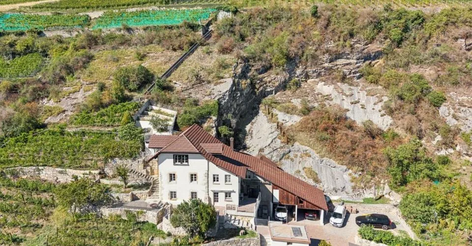 LIGNES PURS & HISTOIRE VIGNERONNE AU BORD DU LAC DE BIENNE – foto 4 di 13