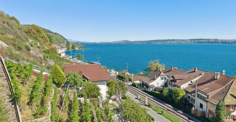 LIGNES PURS & HISTOIRE VIGNERONNE AU BORD DU LAC DE BIENNE – foto 3 di 13