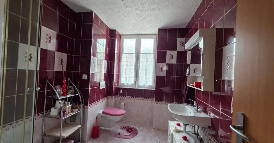 Maison jumelée avec deux logements et une terrasse – foto 13 di 13