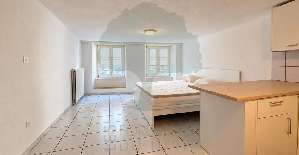 Appartement de 1.5 Pieces meublé en plein centre ville de Porrentruy – photo 3 sur 4