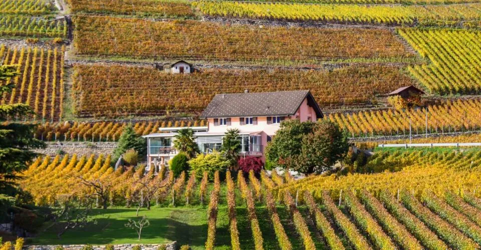 Villa individuelle avec vignes attenantes à St-Séverin – Conthey – Foto 2 von 6