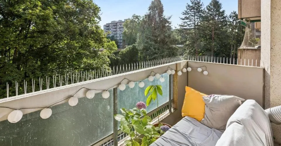 Exclusivité : Champel - appartement traversant, calme et recherché – Foto 13 von 13