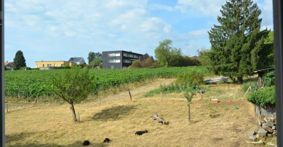 Hauterive - Appartement en attique avec vue sur le lac et les Alpes. – Foto 12 von 13