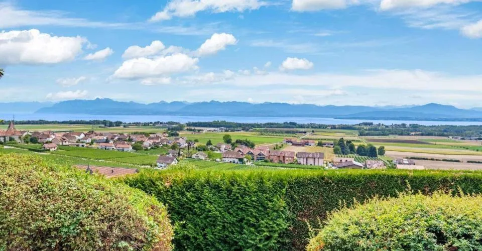 La Propriété de Chenaud, propriété de maître avec vue sur le lac et le Mont-Blanc à Bursins – Foto 3 von 13