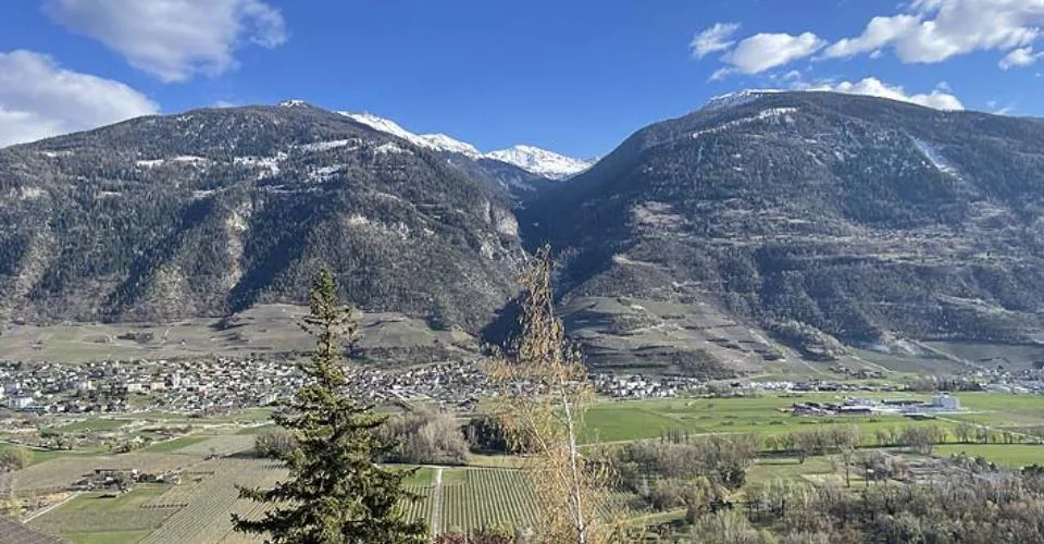 À saisir maison à rénover avec vue et calme – foto 23 di 23