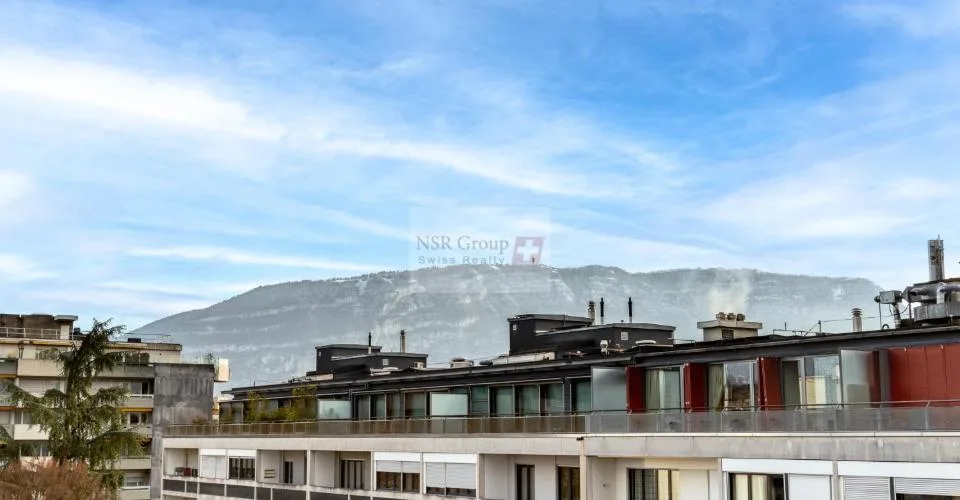 Magnifique appartement en attique en duplex à Malagnou – Foto 4 von 8