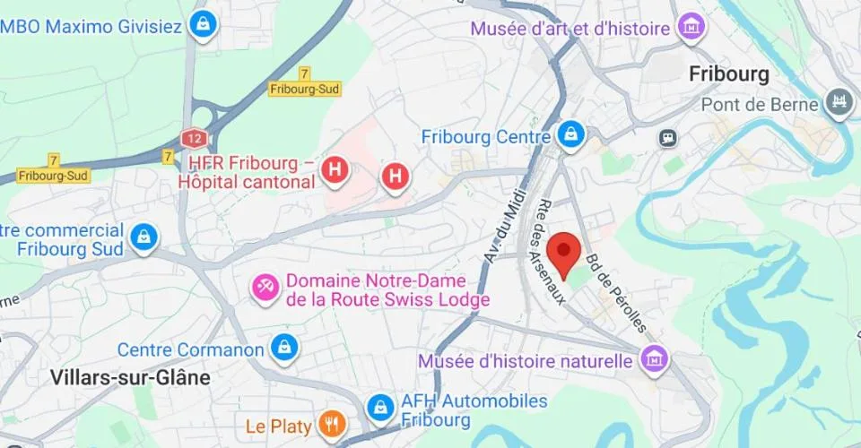 FRIBOURG, VIVRE LA VILLE, FACE À LA VERDURE-RARE-OPPORTUNITÉ – foto 2 di 16