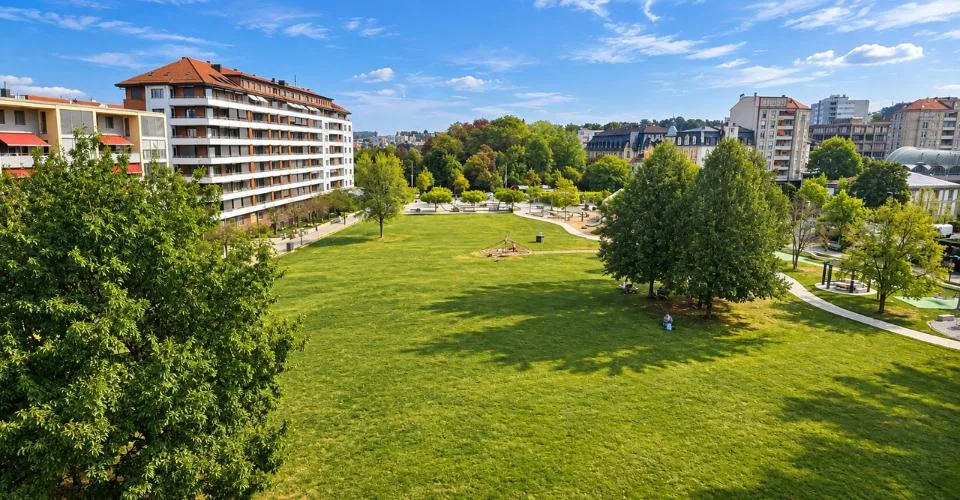 FRIBOURG, VIVRE LA VILLE, FACE À LA VERDURE-RARE-OPPORTUNITÉ – foto 3 di 16
